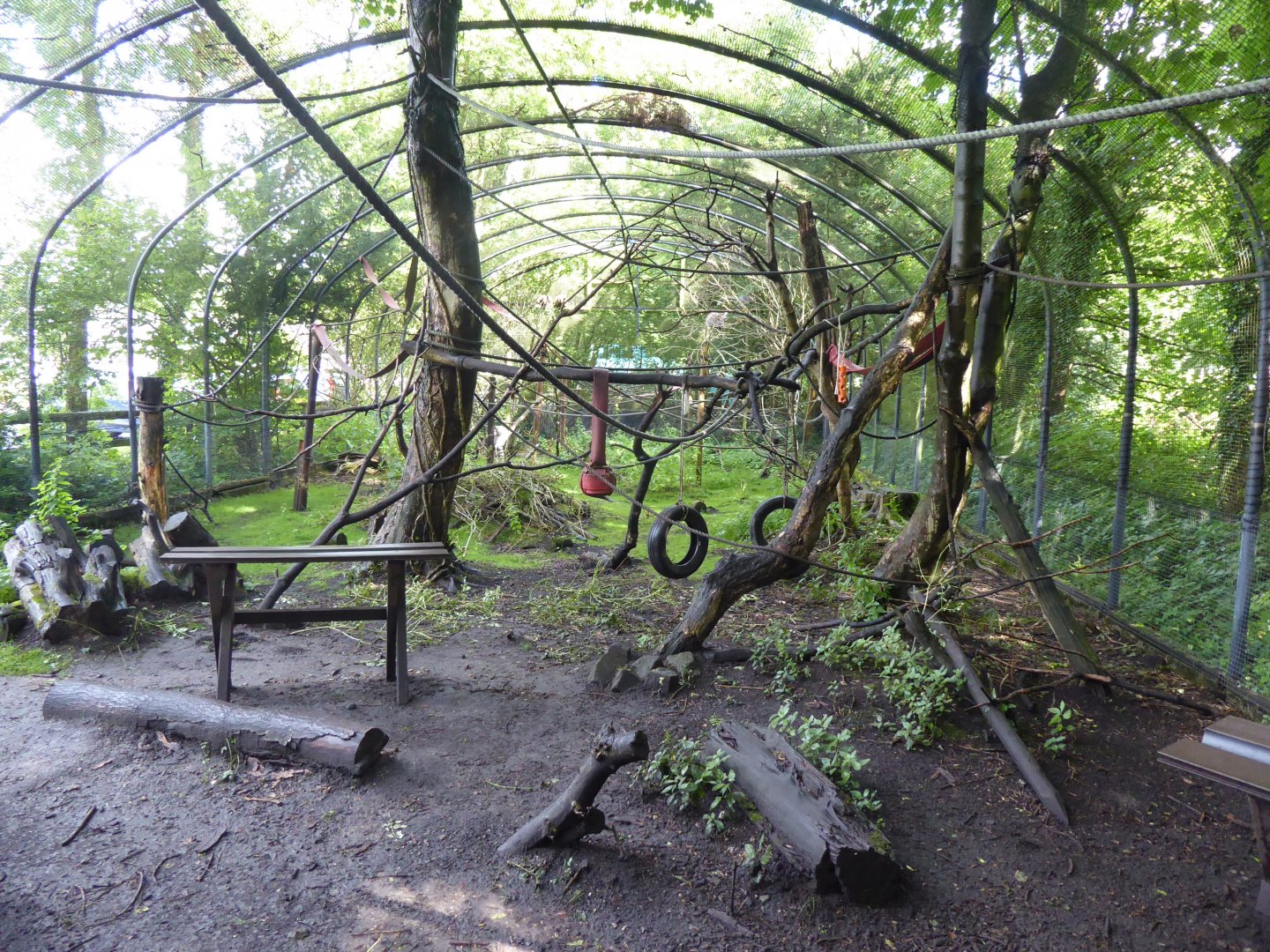 Mixed lemur enclosure 01/08/17