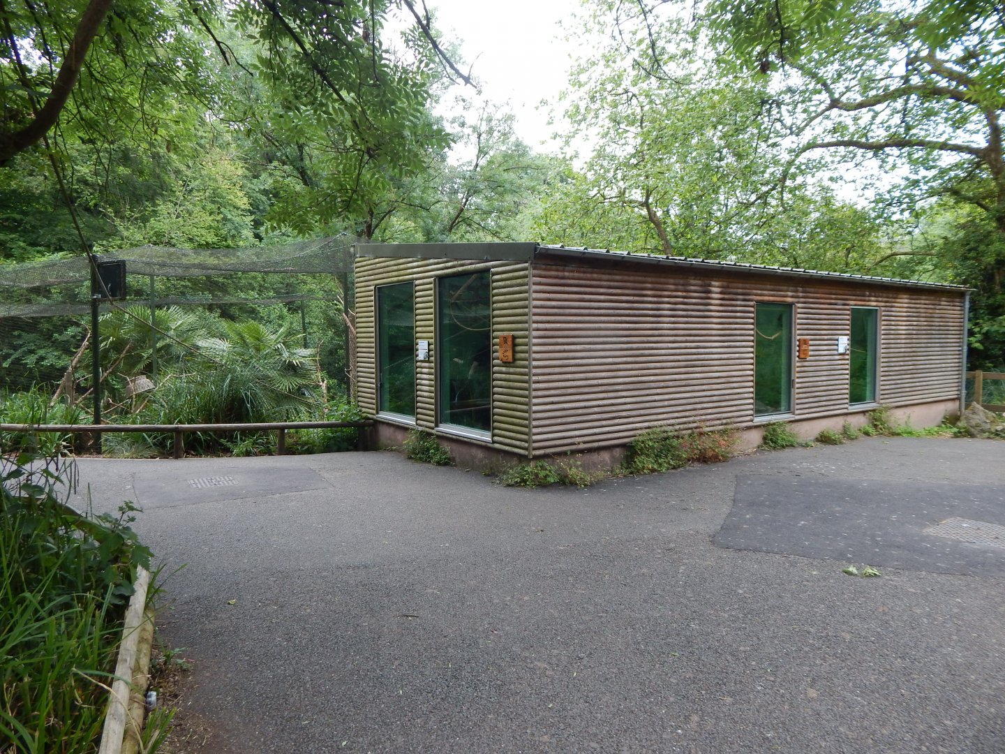 Mixed lemur exhibit 130624