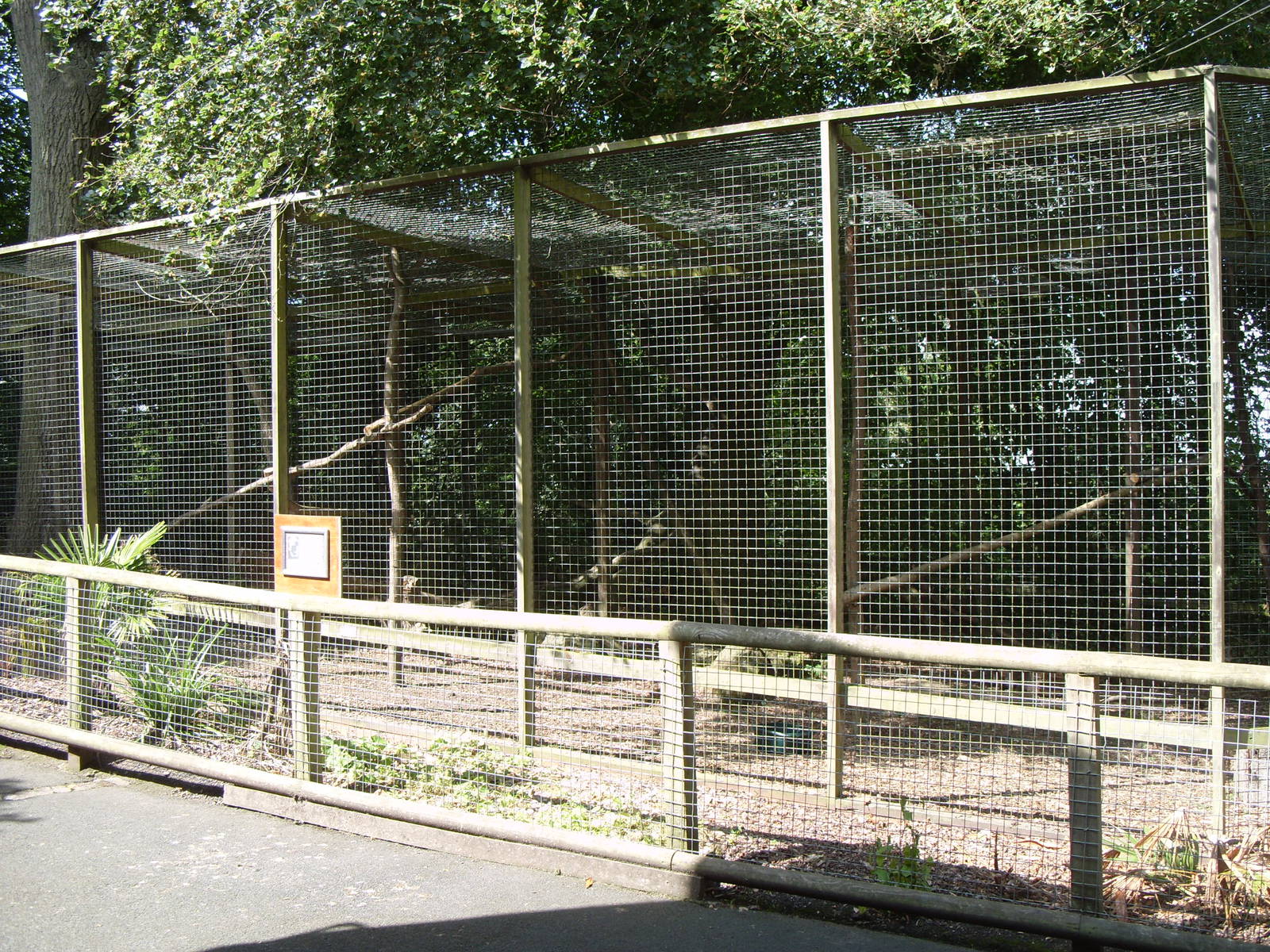 MIXED LEMUR OUTDOOR ENCLOSURE