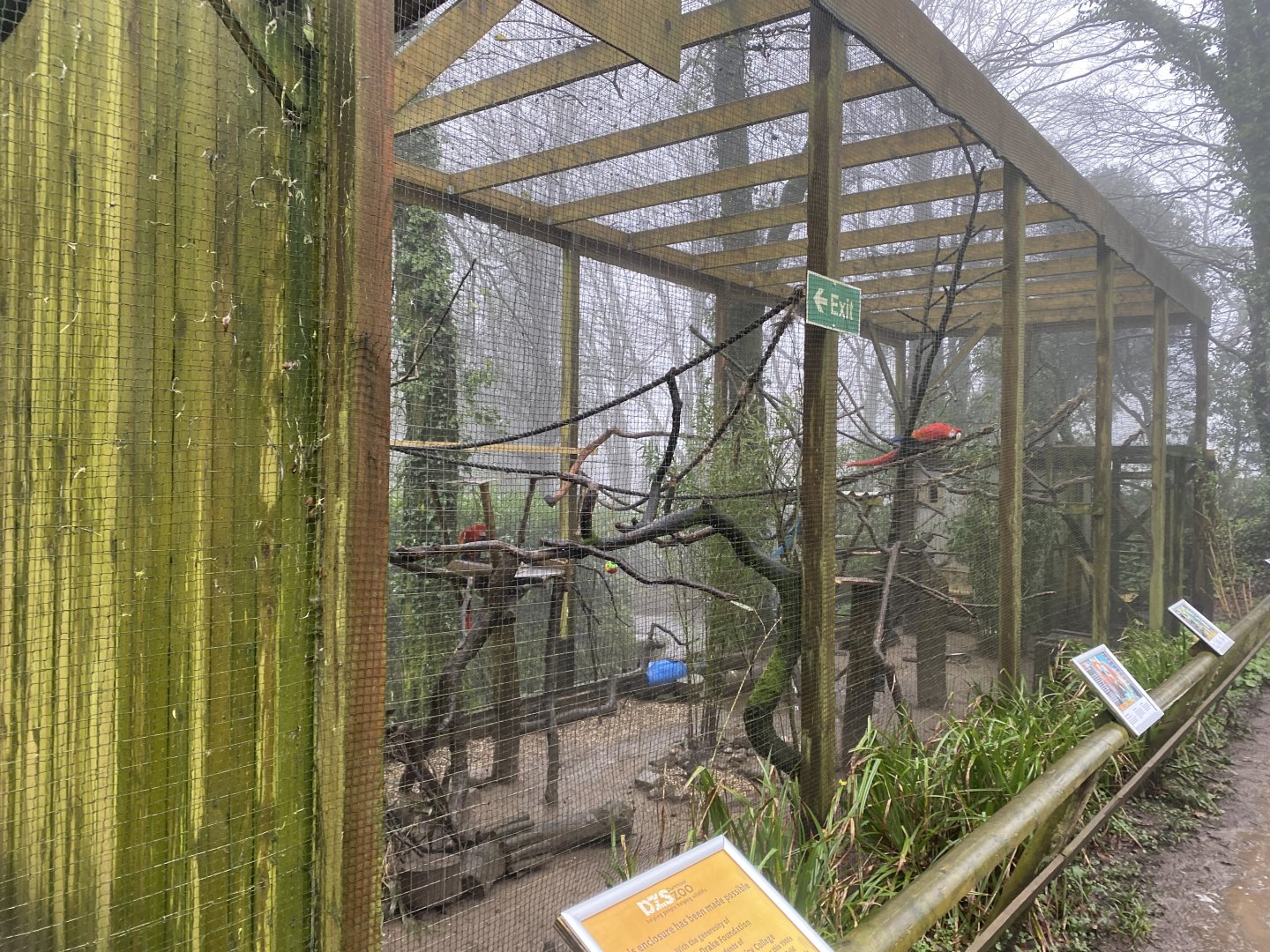 Mixed macaw aviary 140224