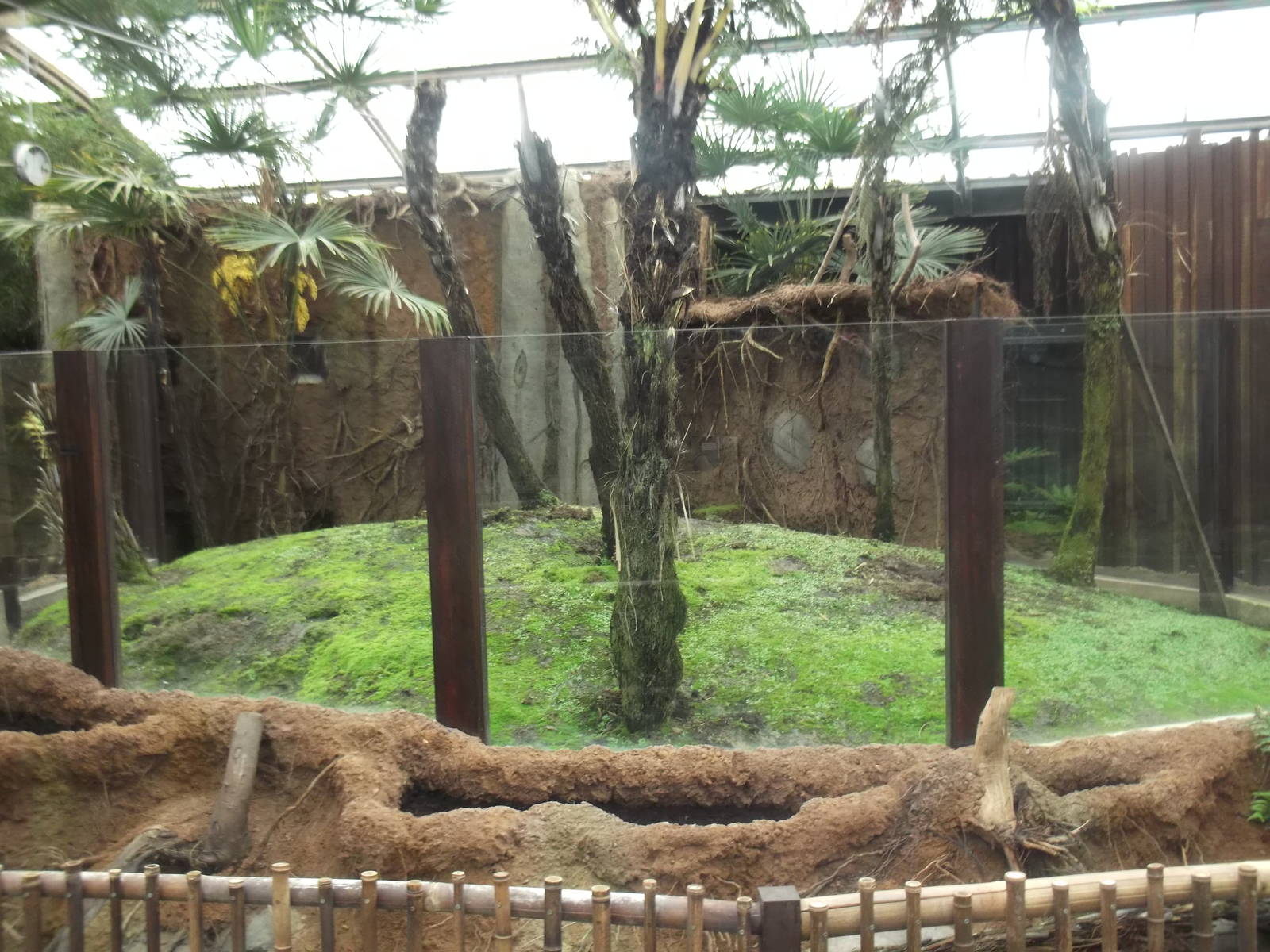 mixed marsupial exhibit