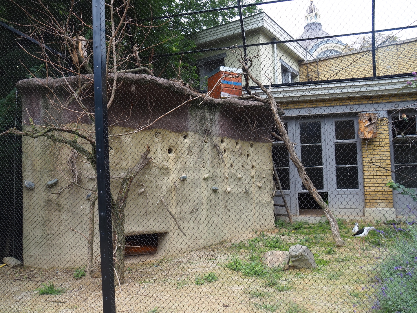 Mixed Mediterranean aviary - Rock with bee-eater nesting hole and tortoise cave