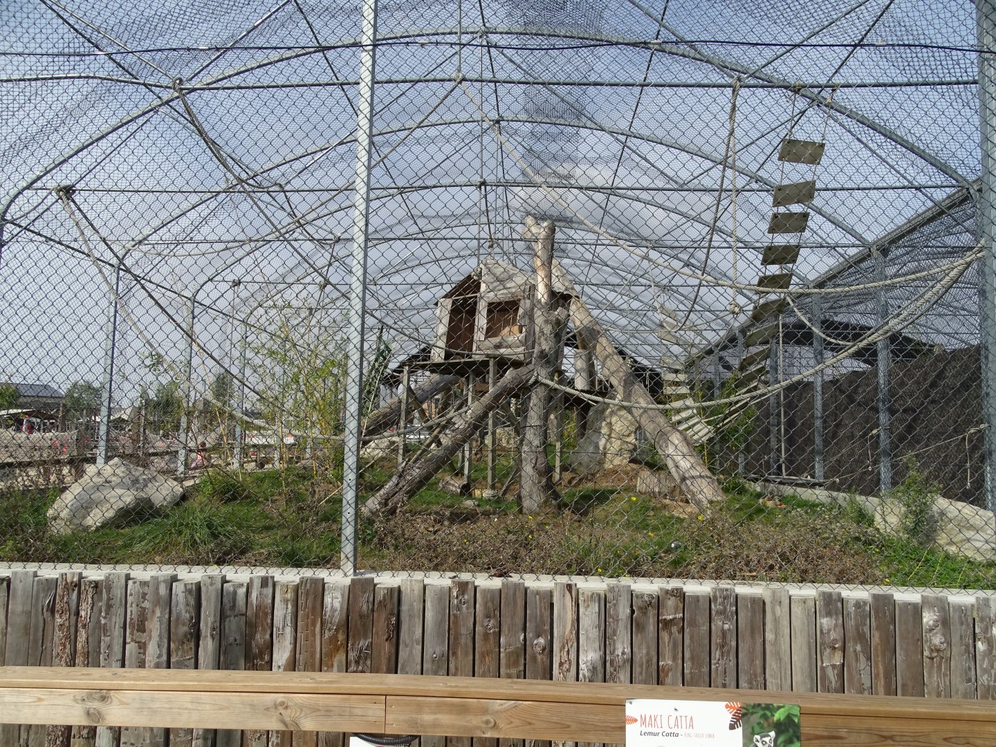 Mixed monkeys exhibit