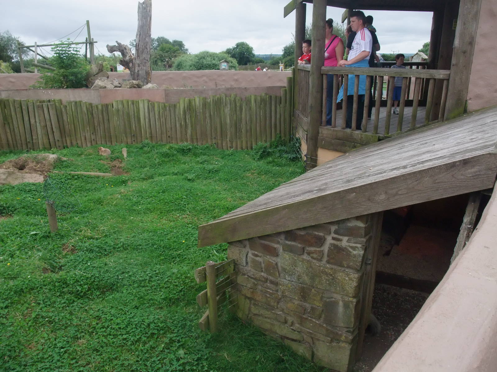 Mixed North American Exhibit at Folly Farm, 01/08/11