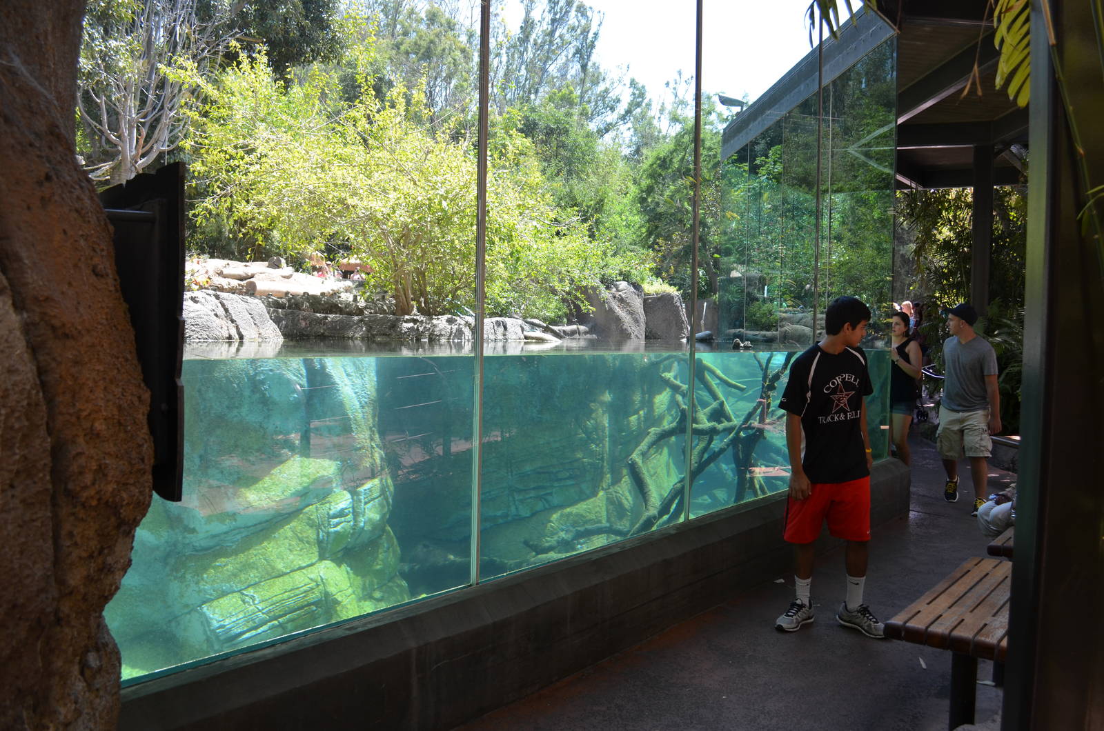 Mixed Otter/Monkey Habitat - Lost Forest