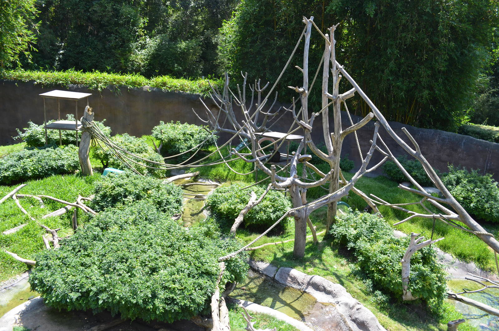 Mixed Otter/Monkey Habitat - Lost Forest