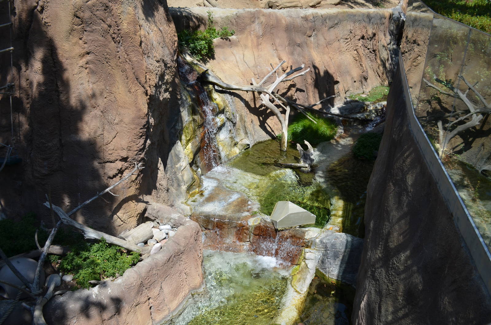 Mixed Otter/Monkey Habitat - Lost Forest