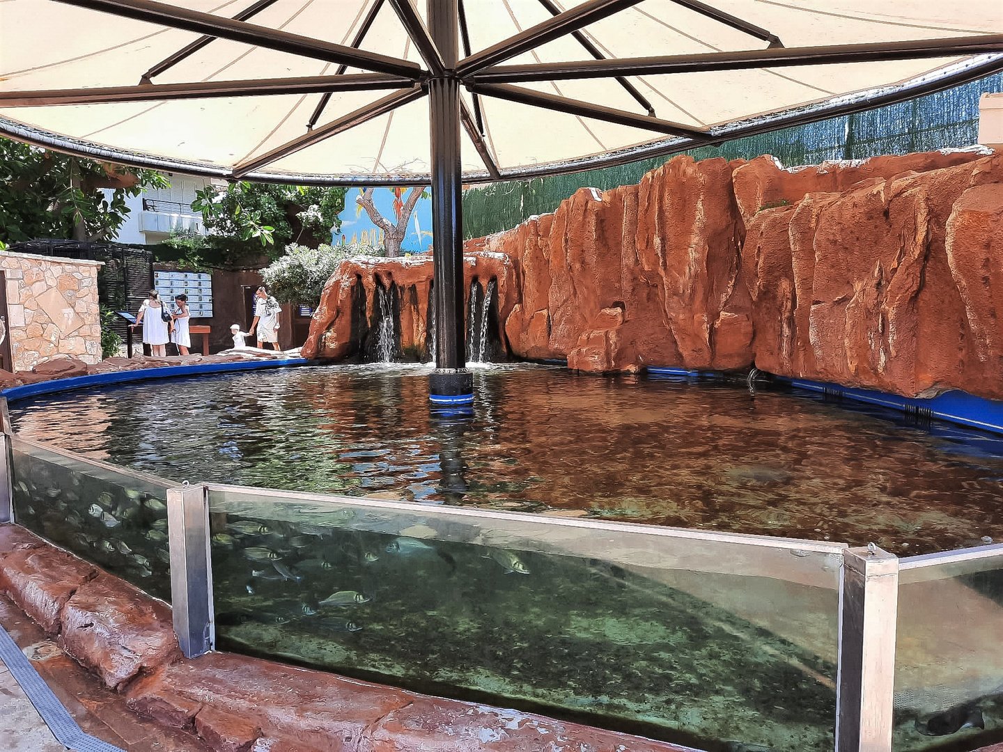 Mixed outdoor fish tank