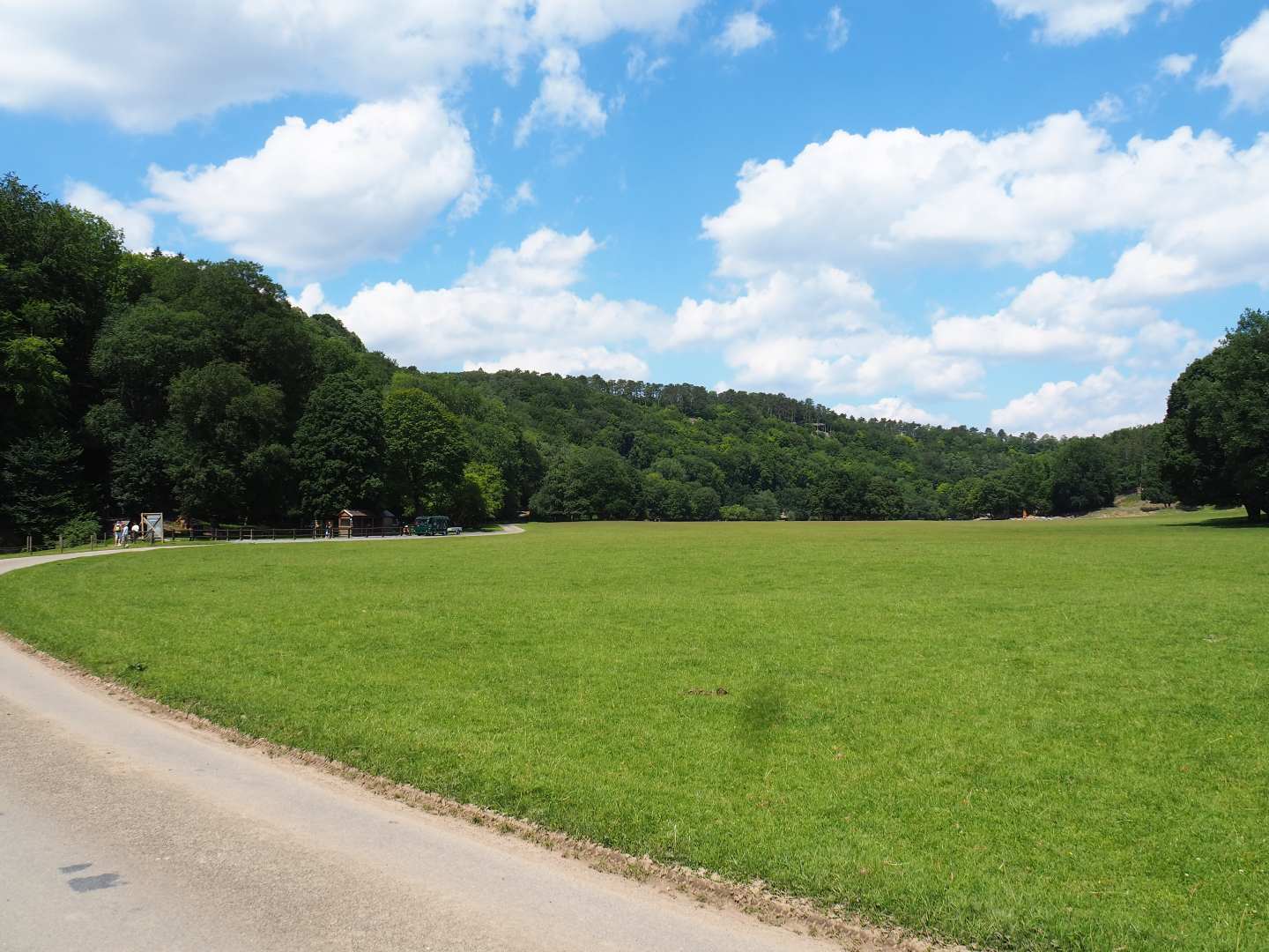 Mixed paddock in the Lesse valley/Lower area of the wildlife park, 2020-07-12