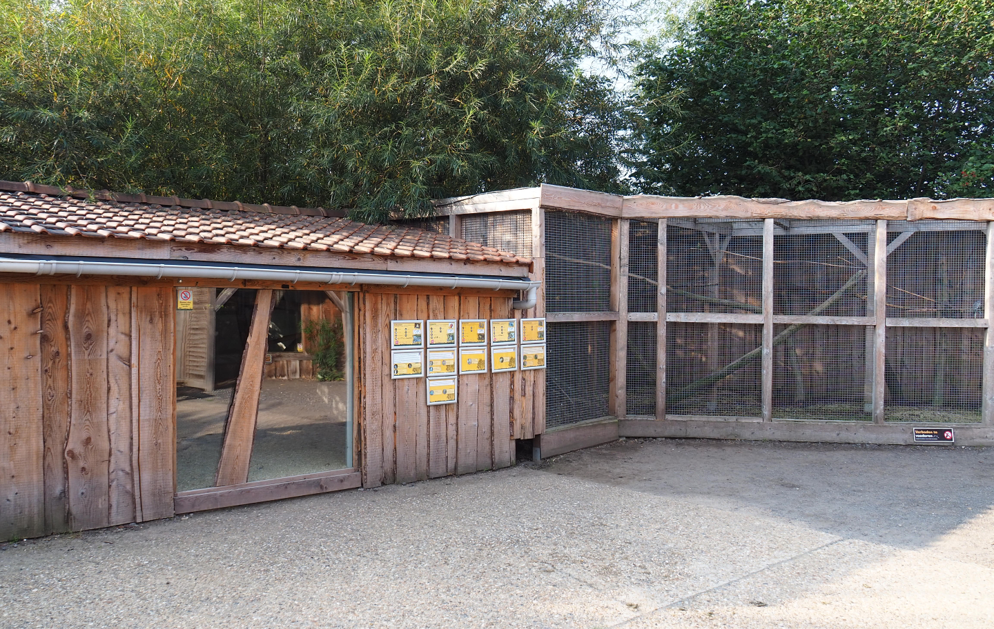 Mixed parakeet and small parrot aviary and barn, 2020-09-12