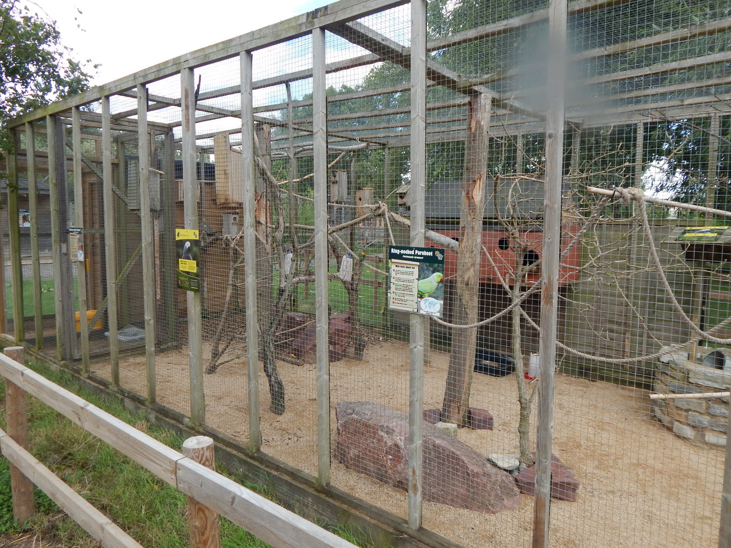Mixed parrot aviary 150723