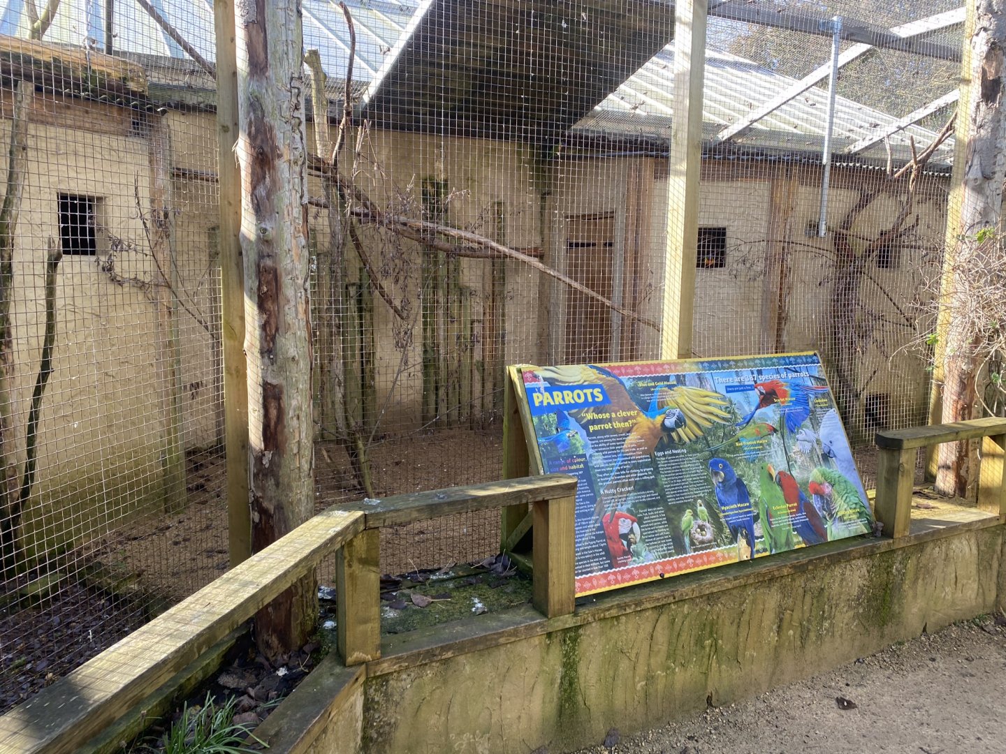 Mixed parrot aviary 241023