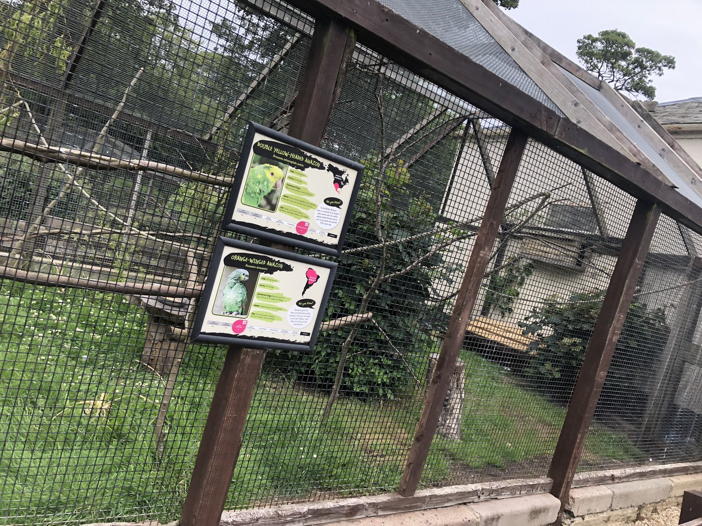 Mixed Parrot Aviary at Sewerby Zoo (June 2023)