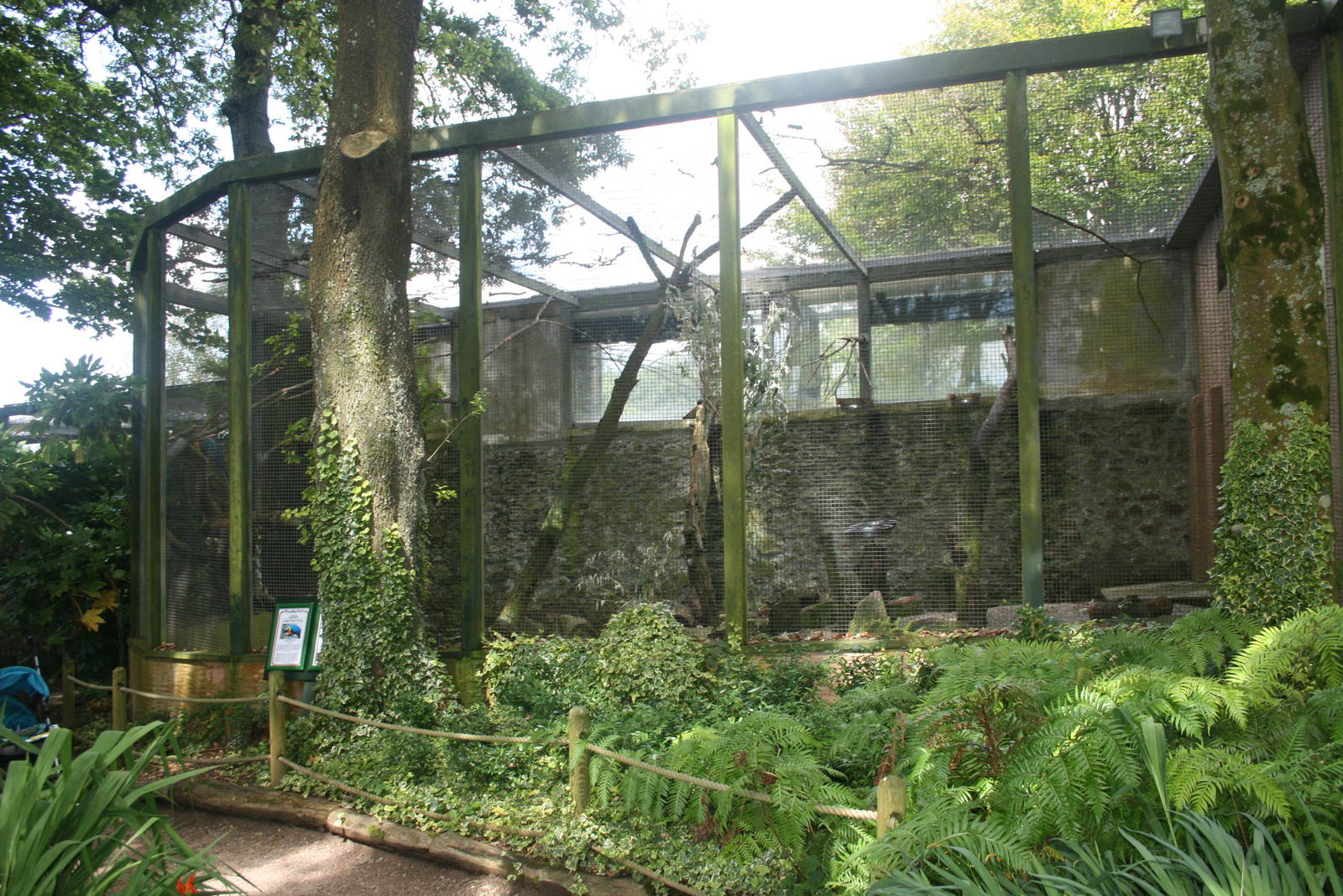 Mixed Parrot Enclosure