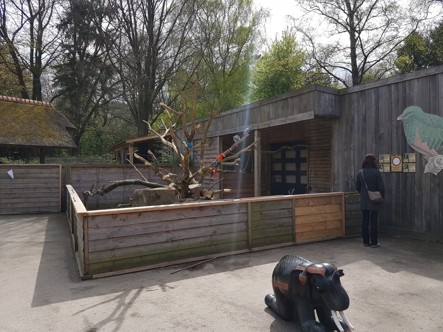 Mixed Parrot-enclosure