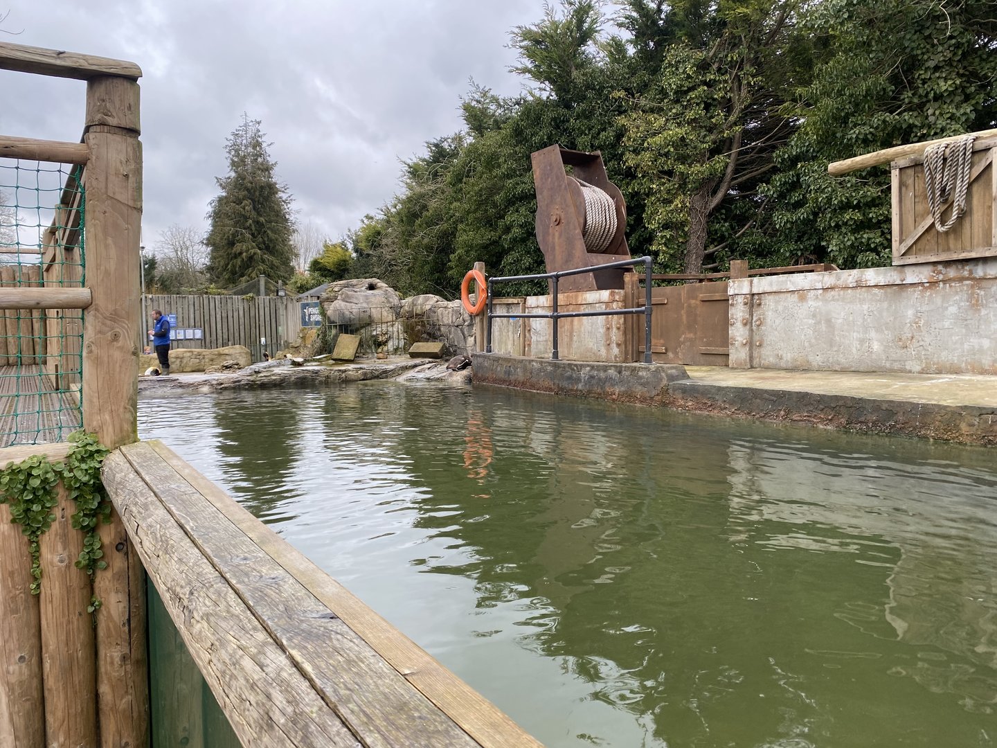 Mixed penguin exhibit 010323