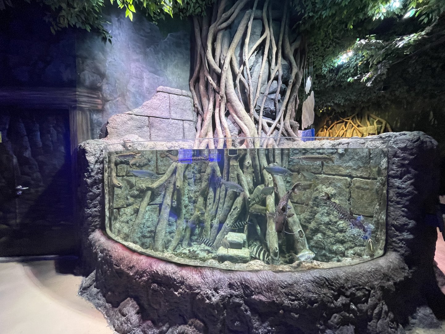 mixed predatory fishes exhibit - BX Sea