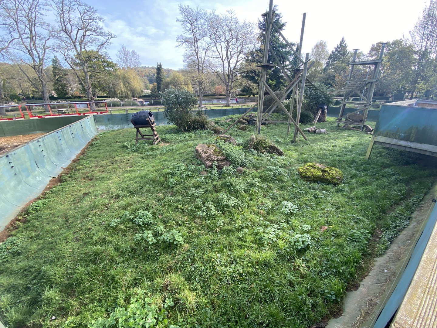 Mixed procyonid exhibit 071121