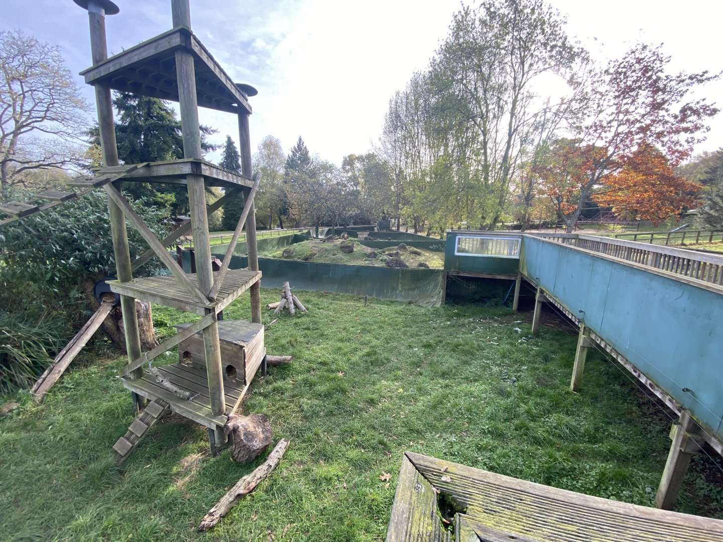 Mixed procyonid exhibit 071121