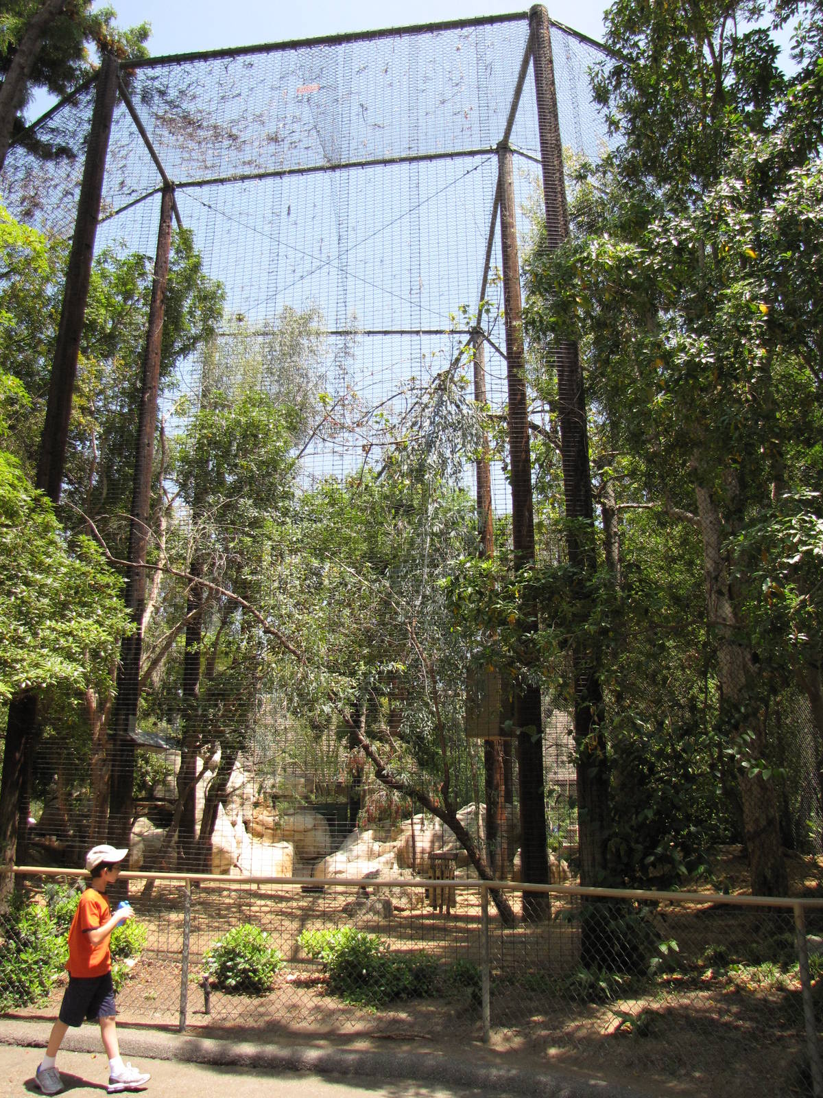 Mixed Red-knobbed Hornbill/Yellow-footed Rock Wallaby Enclosure