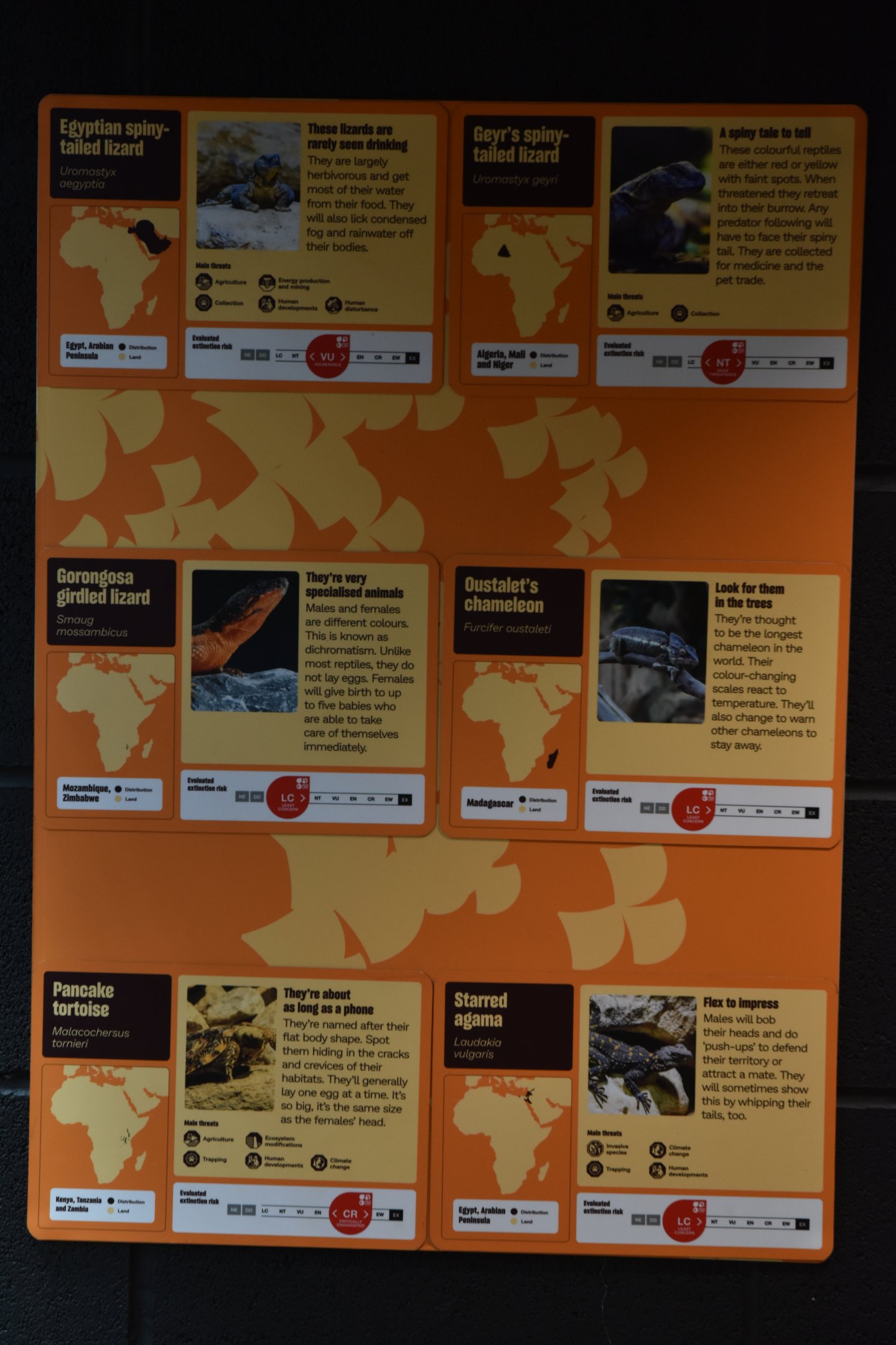 Mixed Reptile Exhibit Signage in Hidden Savannah, Heart of Africa at Chester, 12th April 2025