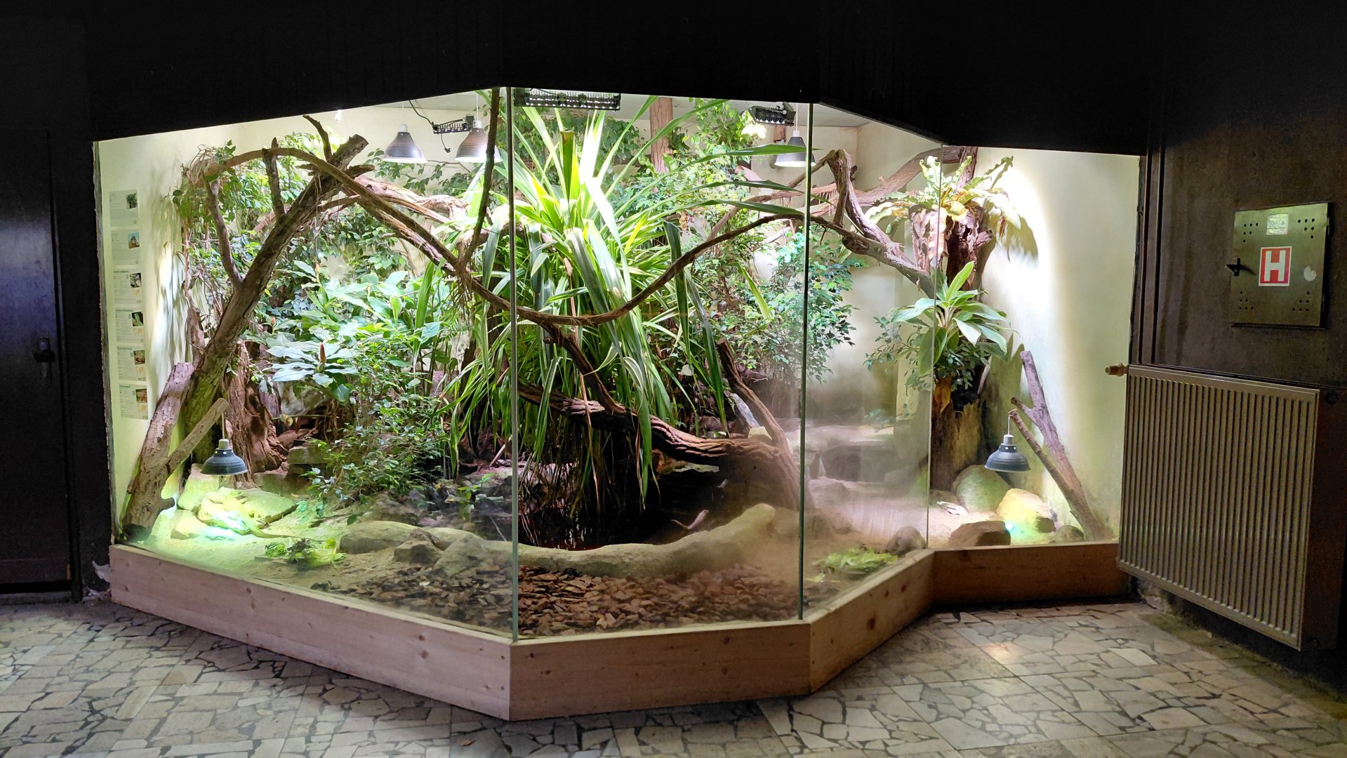 Mixed reptile exhibit