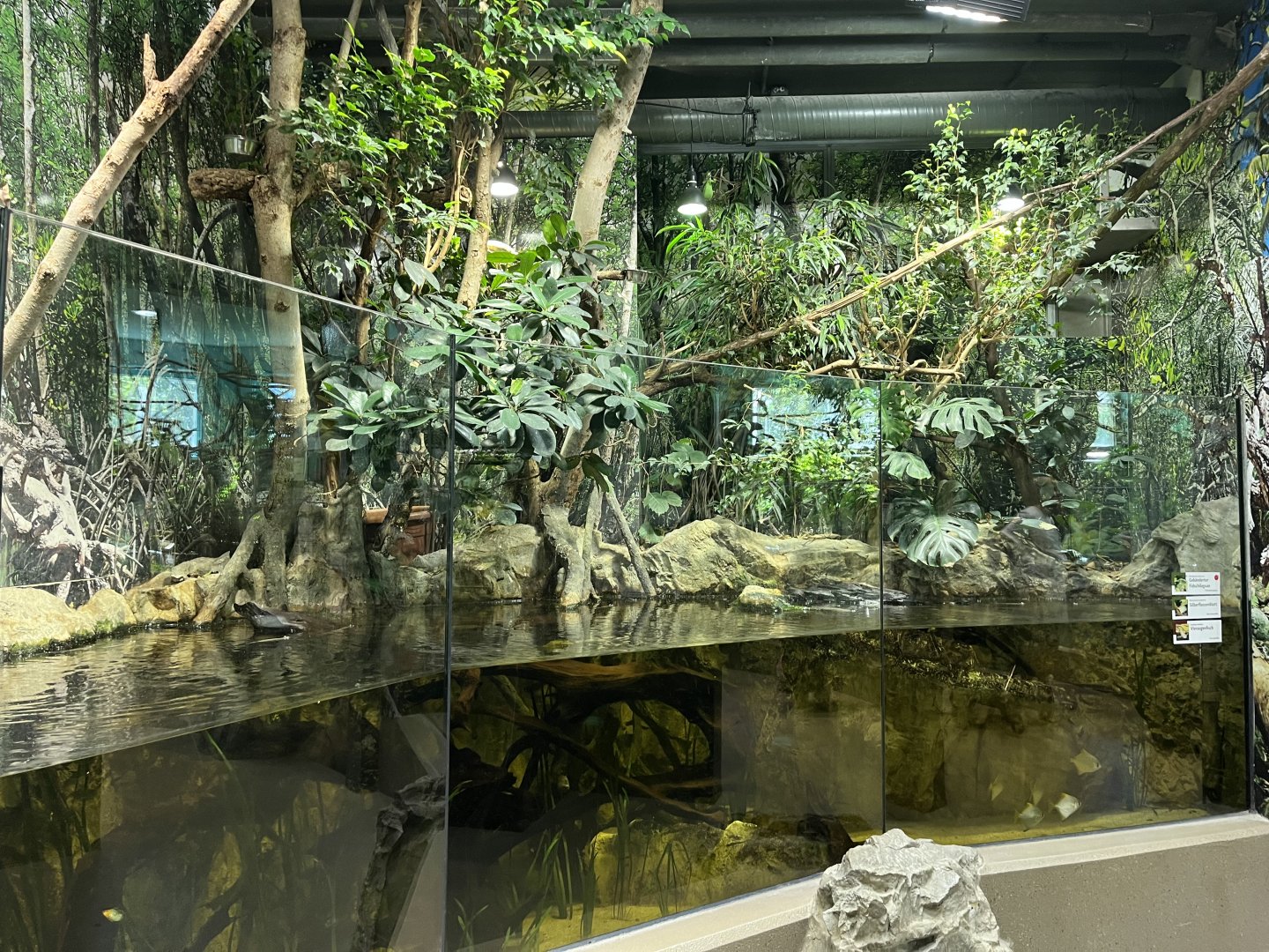 Mixed reptile, fish and sloth exhibit 13.7.25