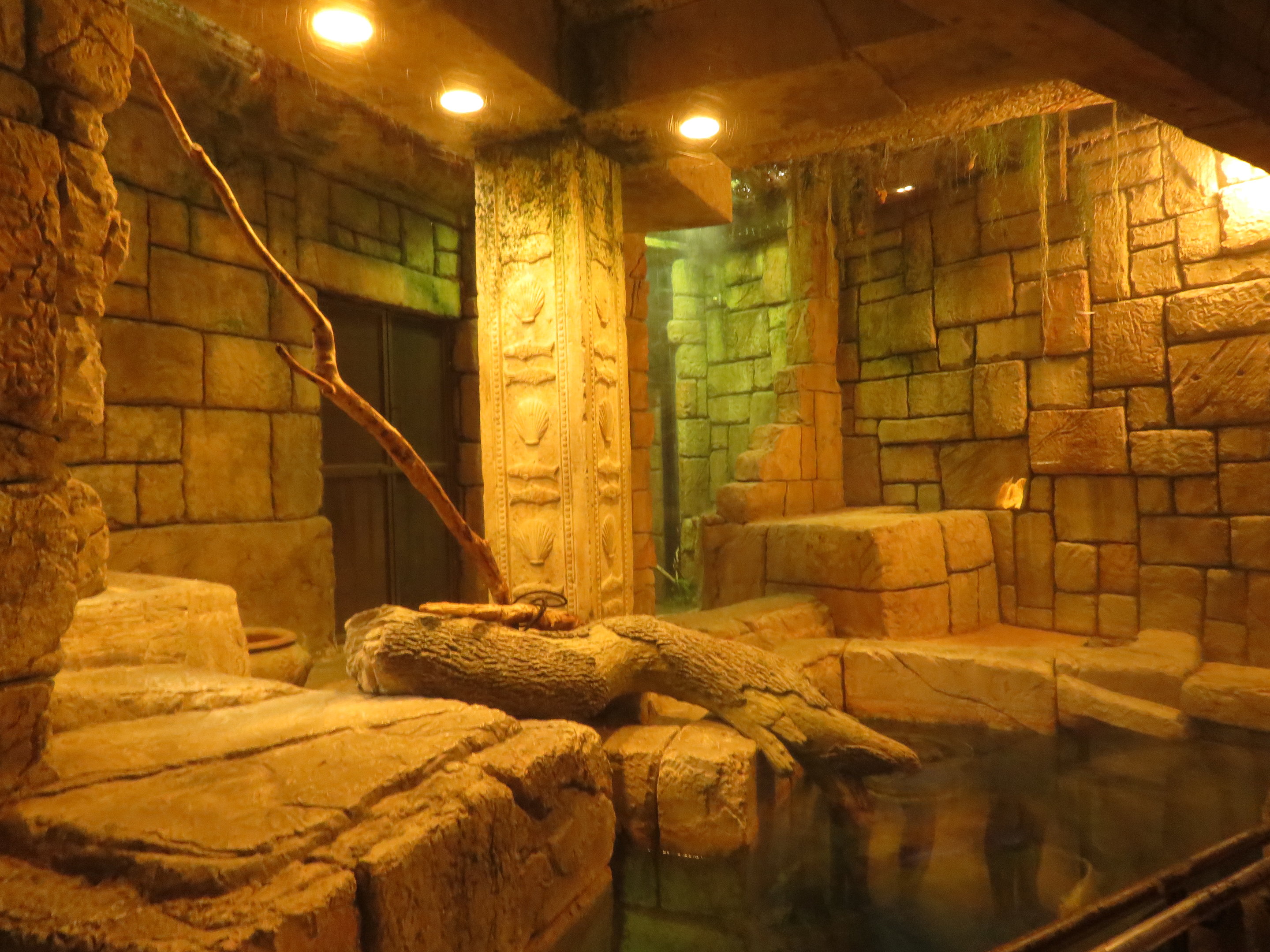 Mixed Reptile/Fish Enclosure