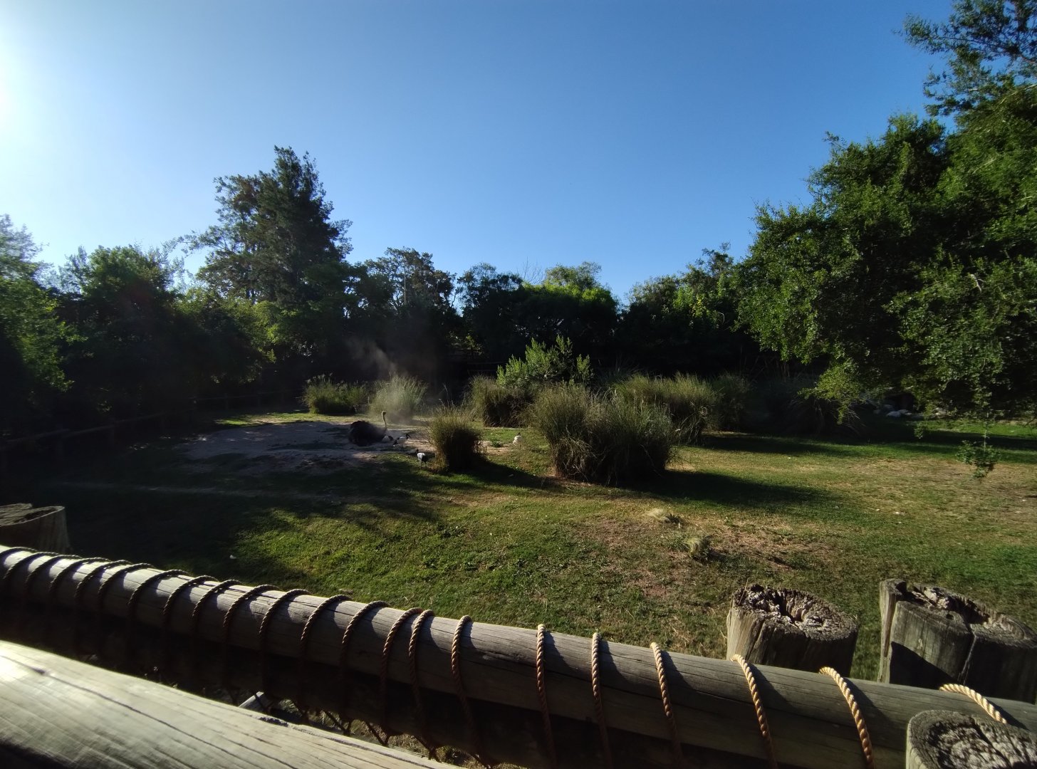 Mixed savanna exhibit - Temaiken