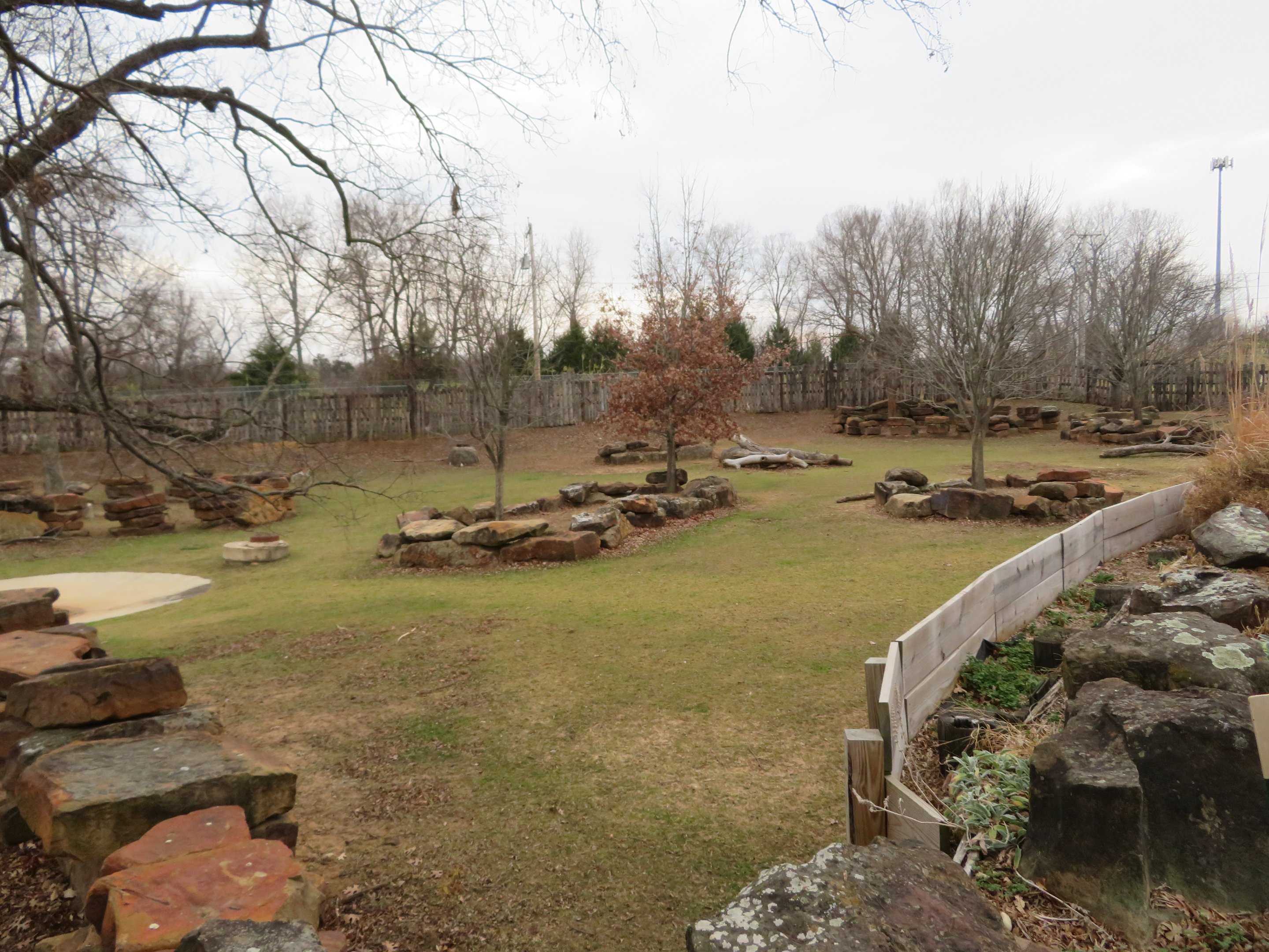 Mixed Savanna Yard (5 species)