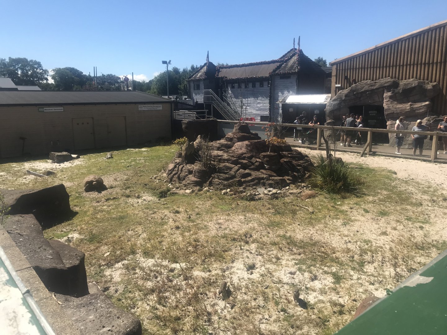 Mixed savannah enclosure