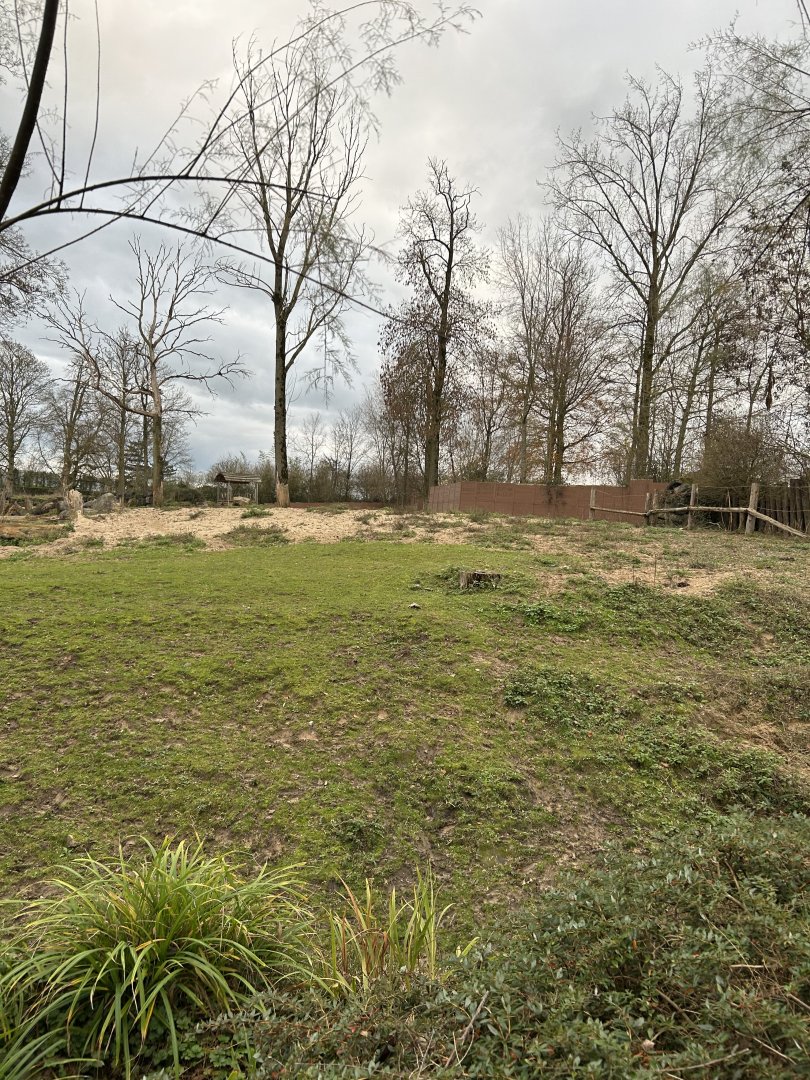 Mixed savannah exhibit