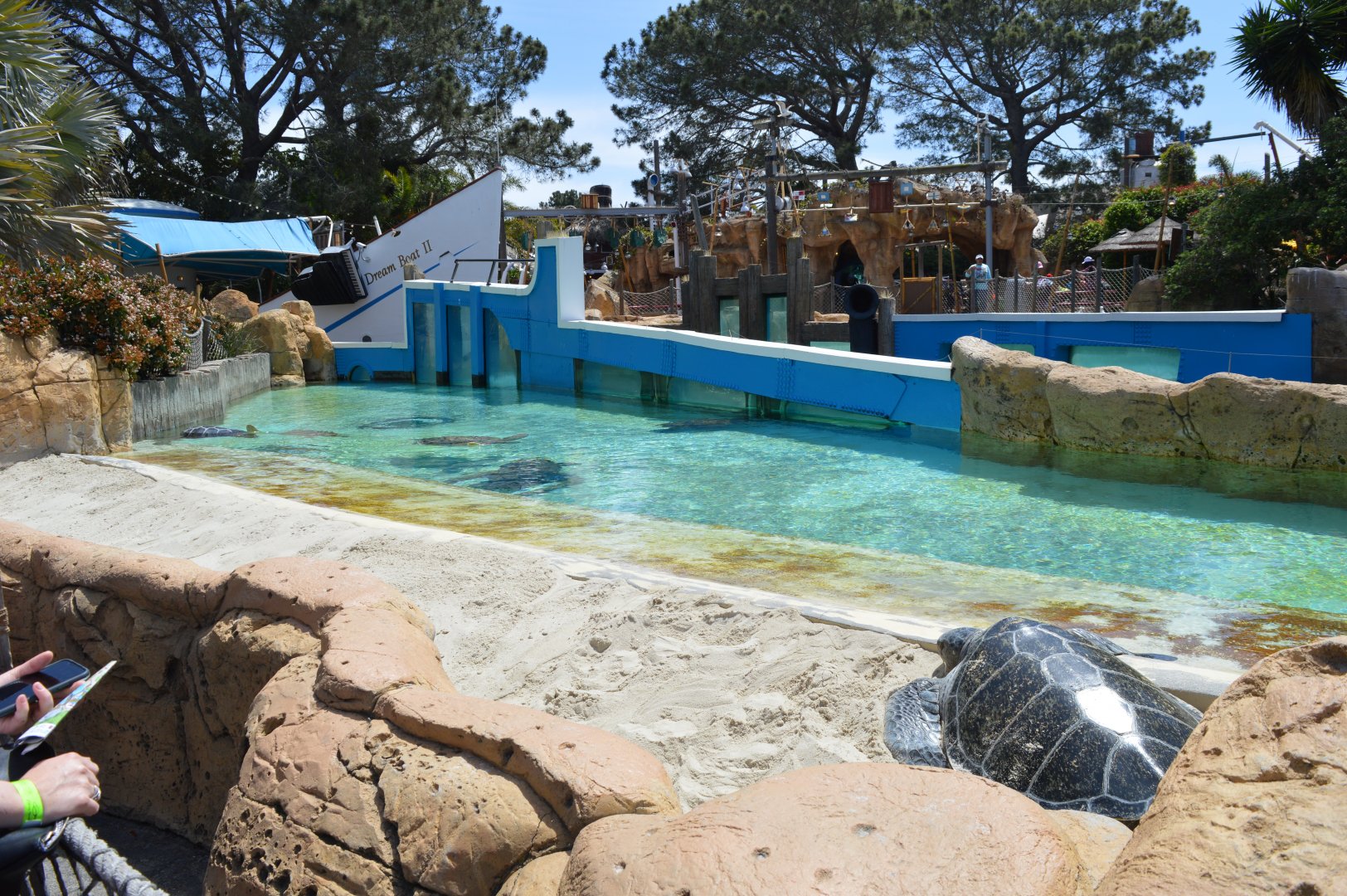 Mixed Sea-Turtle Exhibit