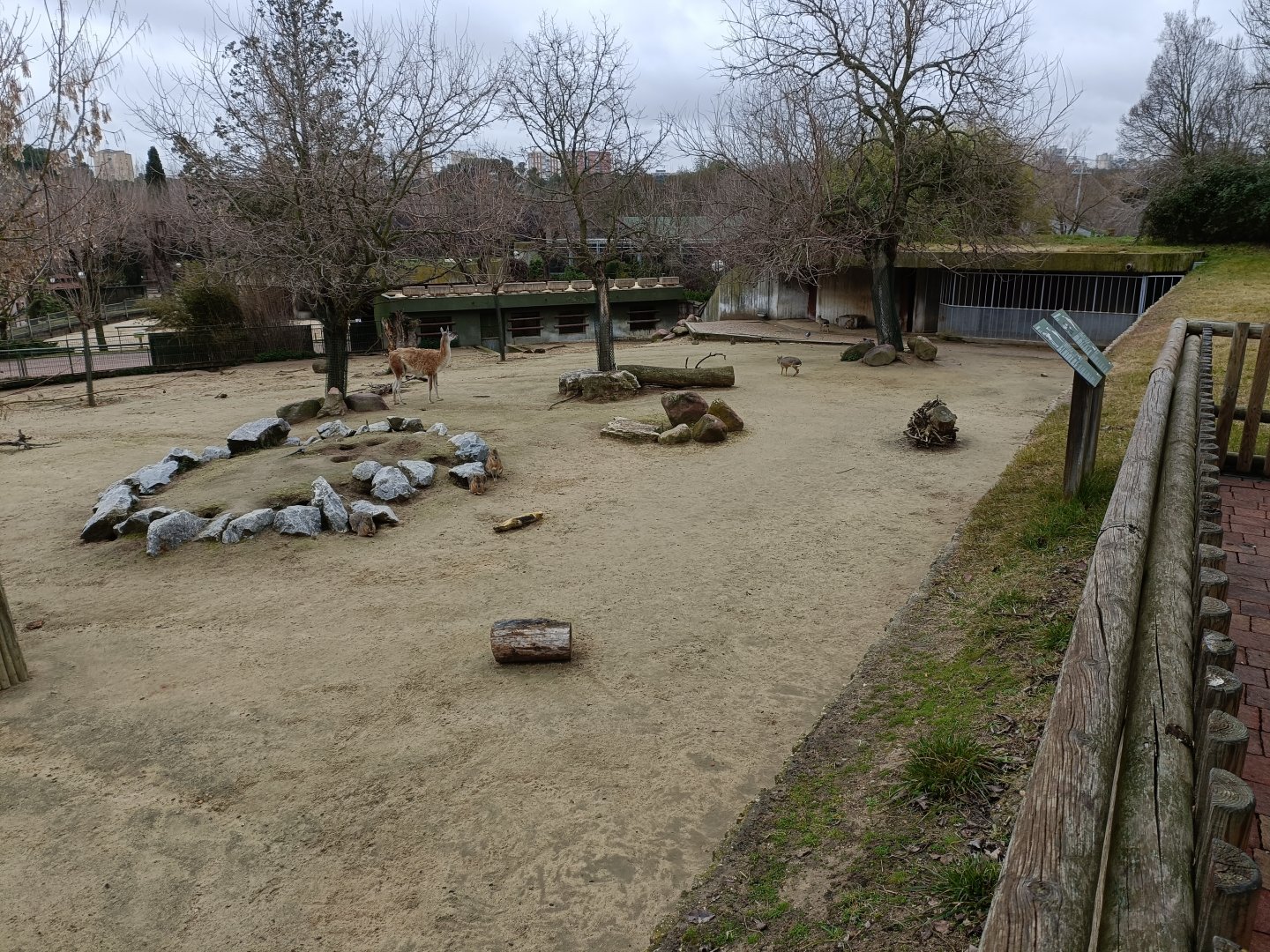 Mixed South america exhibit