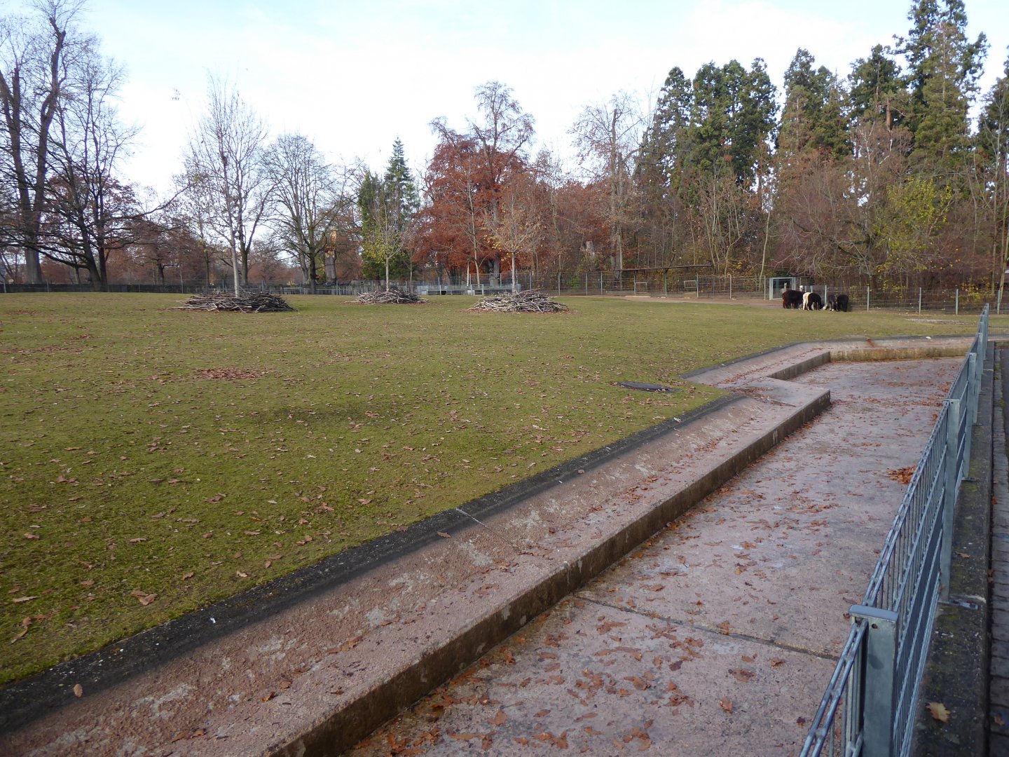 Mixed South American enclosure 011218