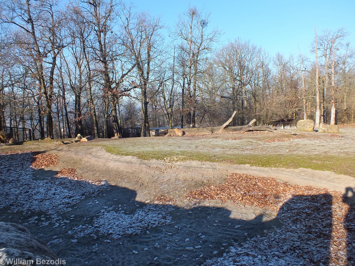 Mixed South American Enclosure