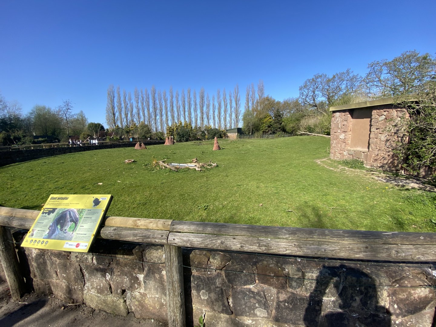 Mixed South American enclosure