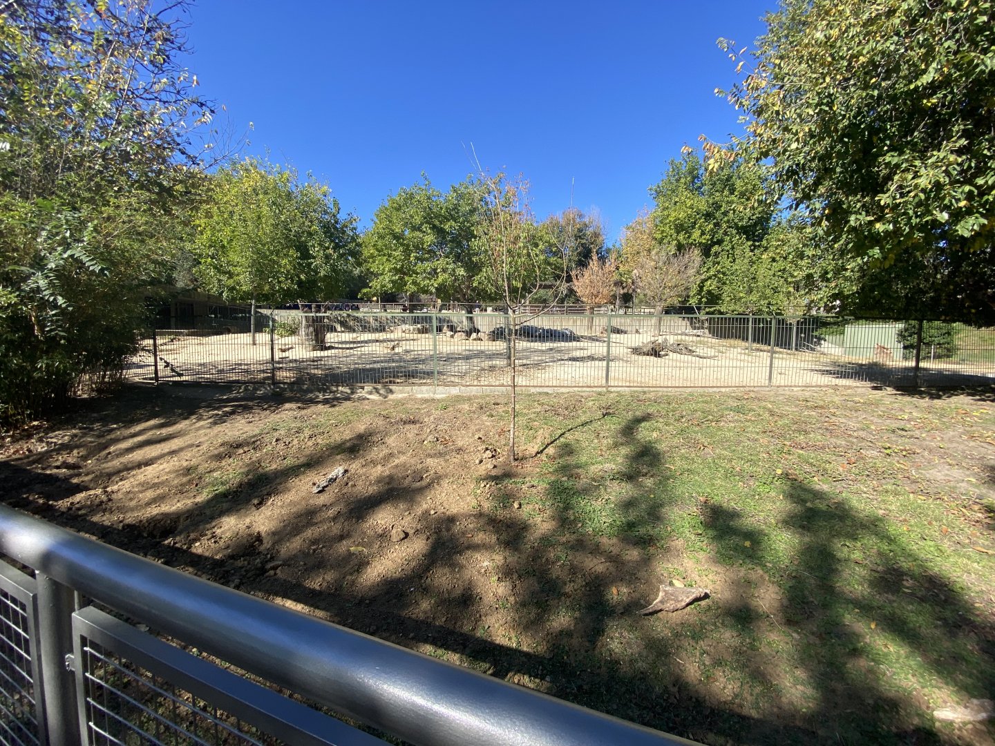 Mixed South American enclosure