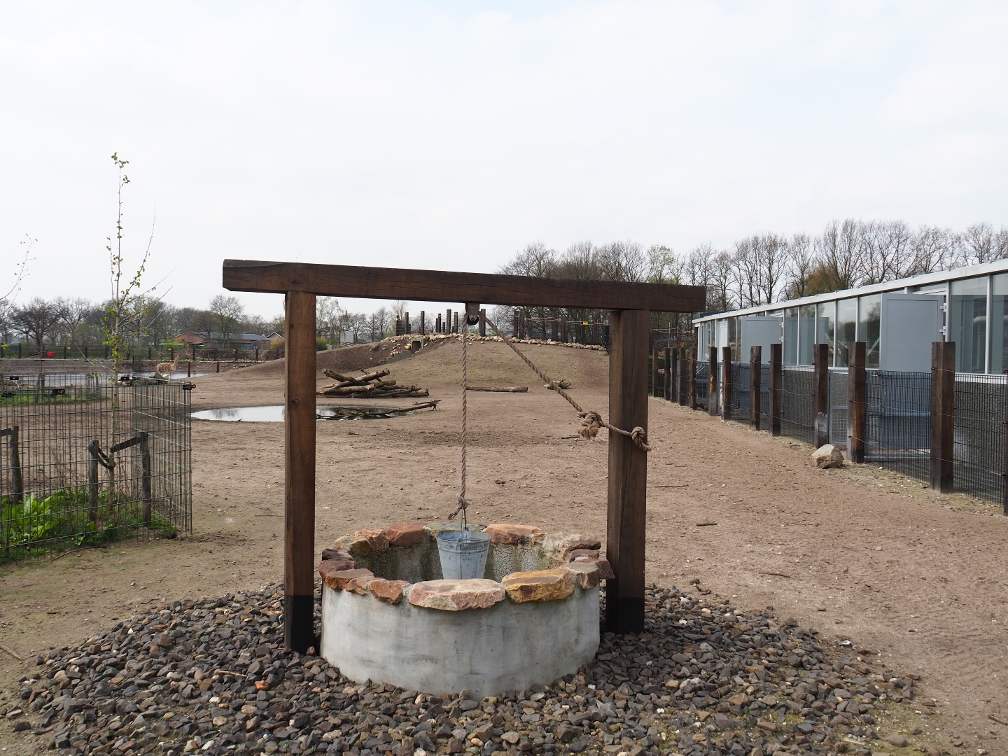 Mixed South American exhibit, 2019-04-06