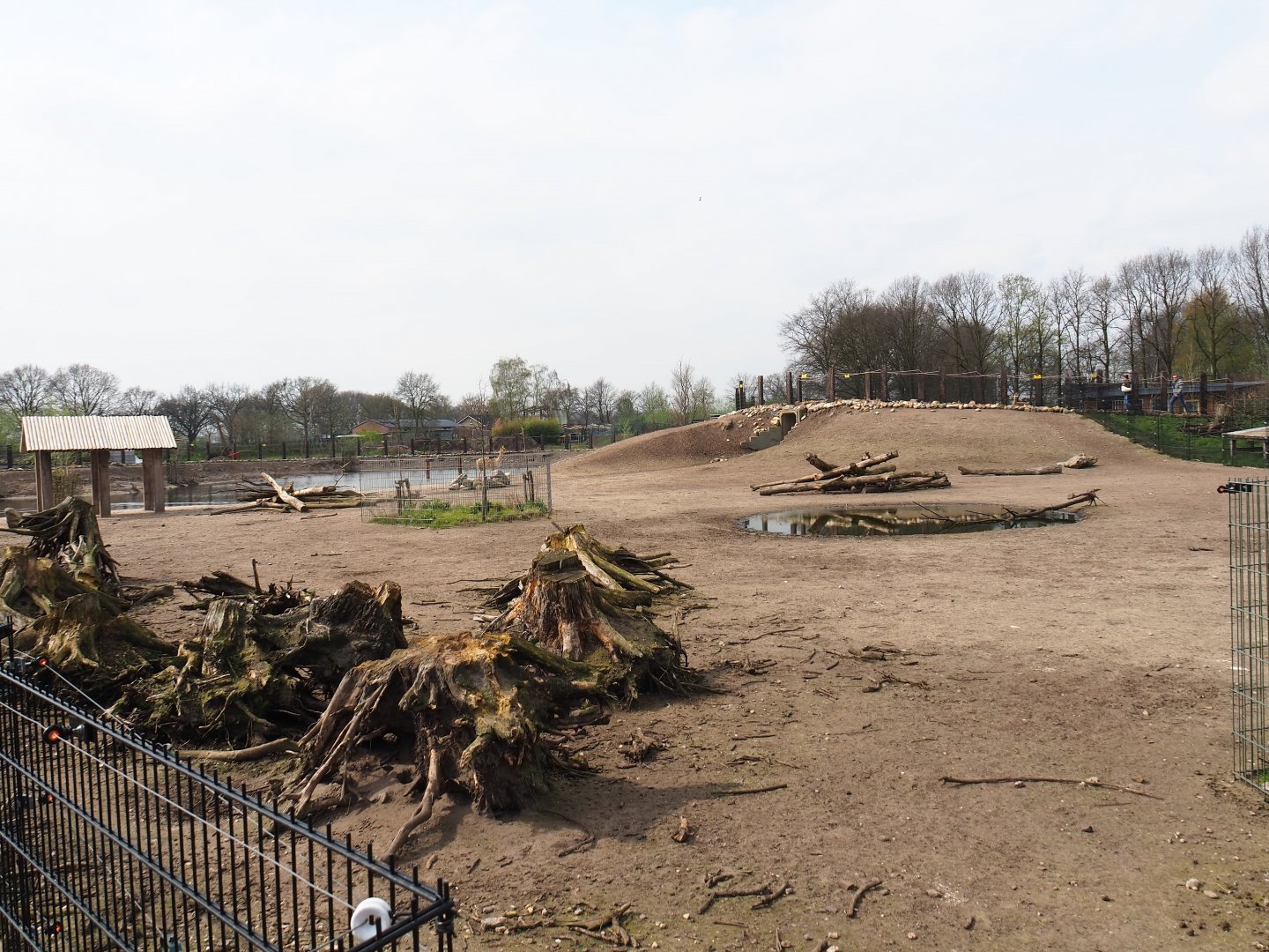 Mixed South American exhibit, 2019-04-06