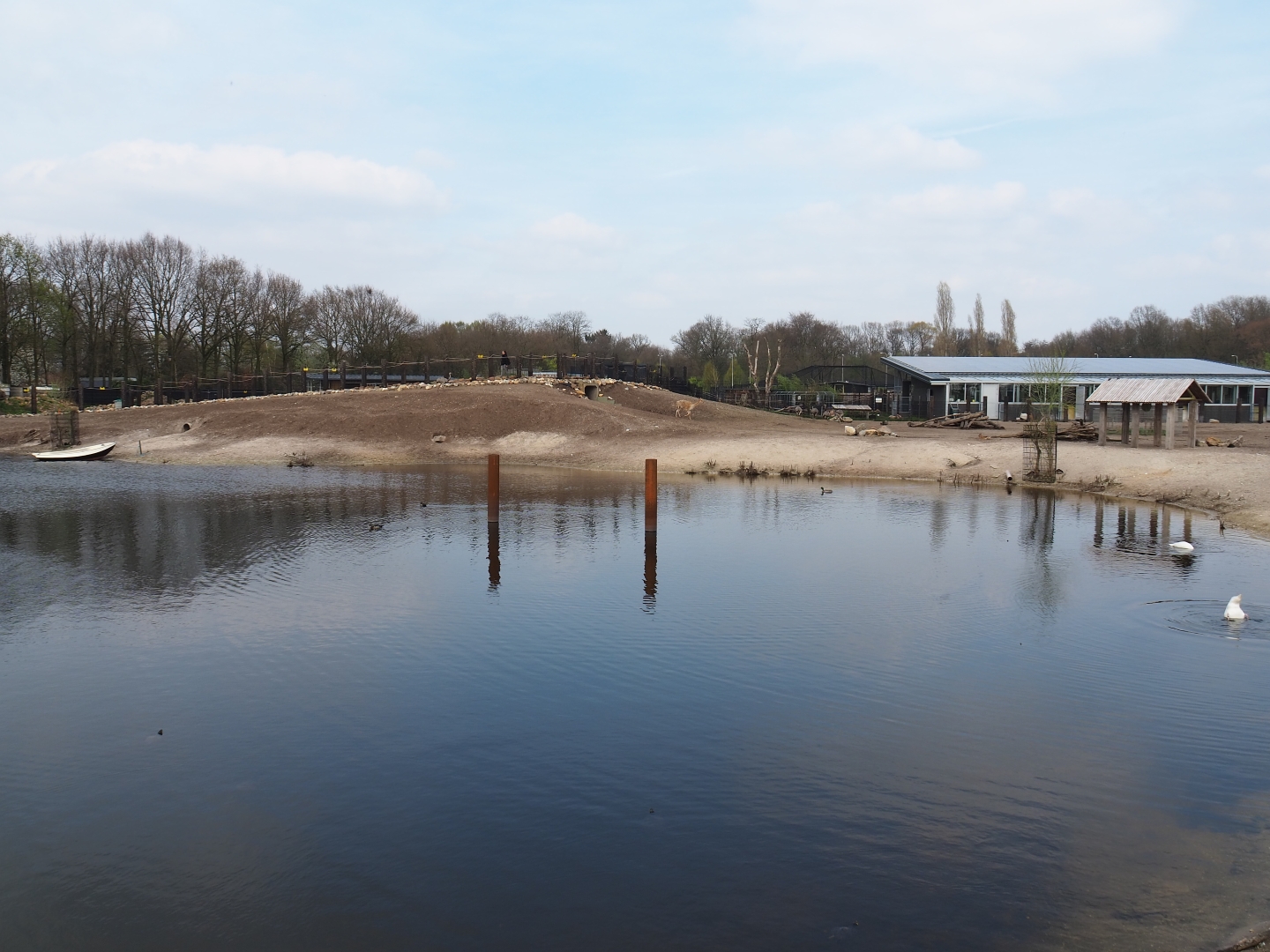 Mixed South American exhibit, 2019-04-06