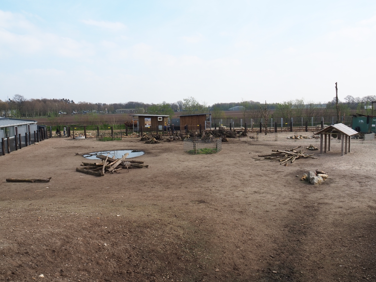 Mixed South American exhibit, 2019-04-06