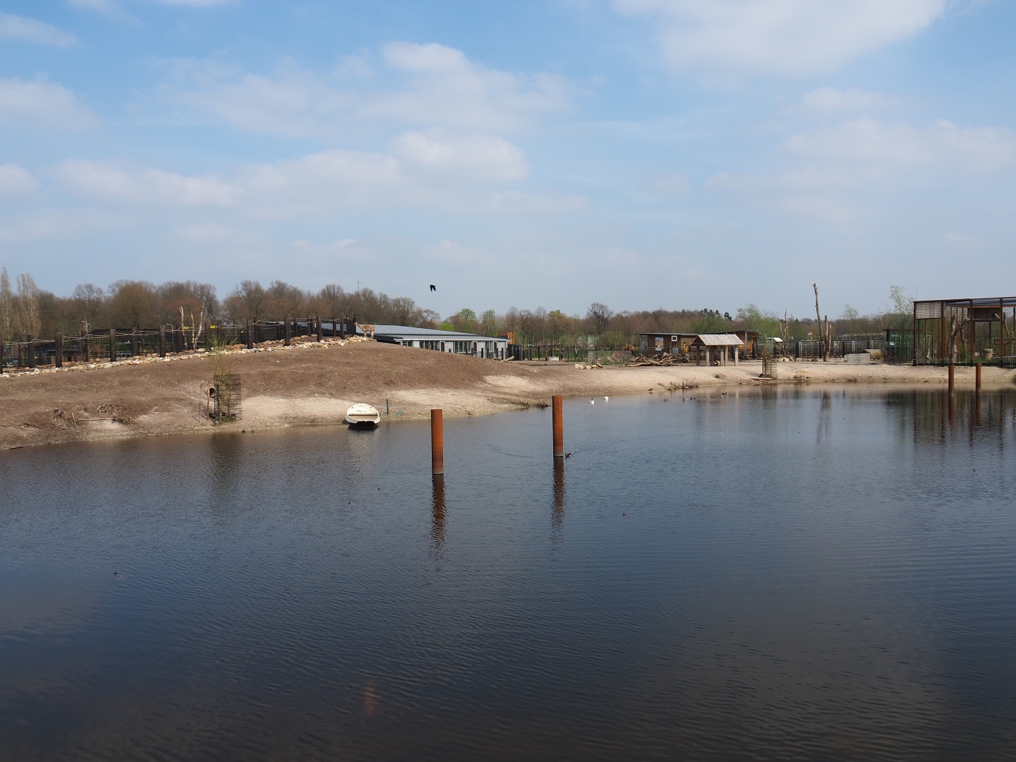 Mixed South American exhibit, 2019-04-06