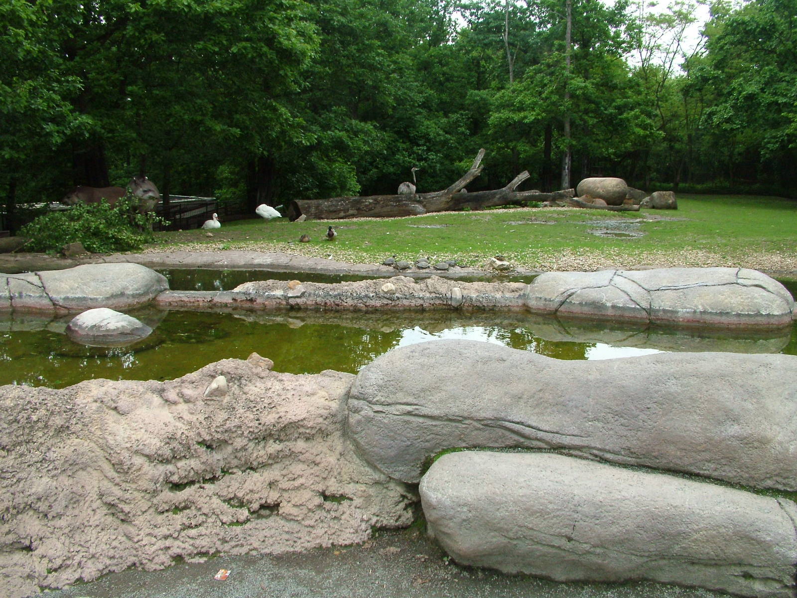 Mixed South American exhibit at Brno, 27/05/10