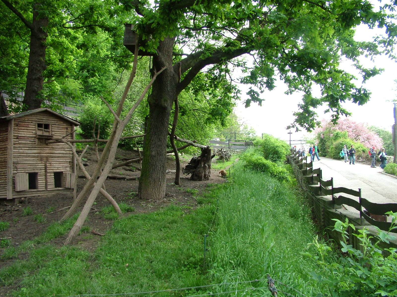 Mixed South American exhibit at Plzen, 25/05/10