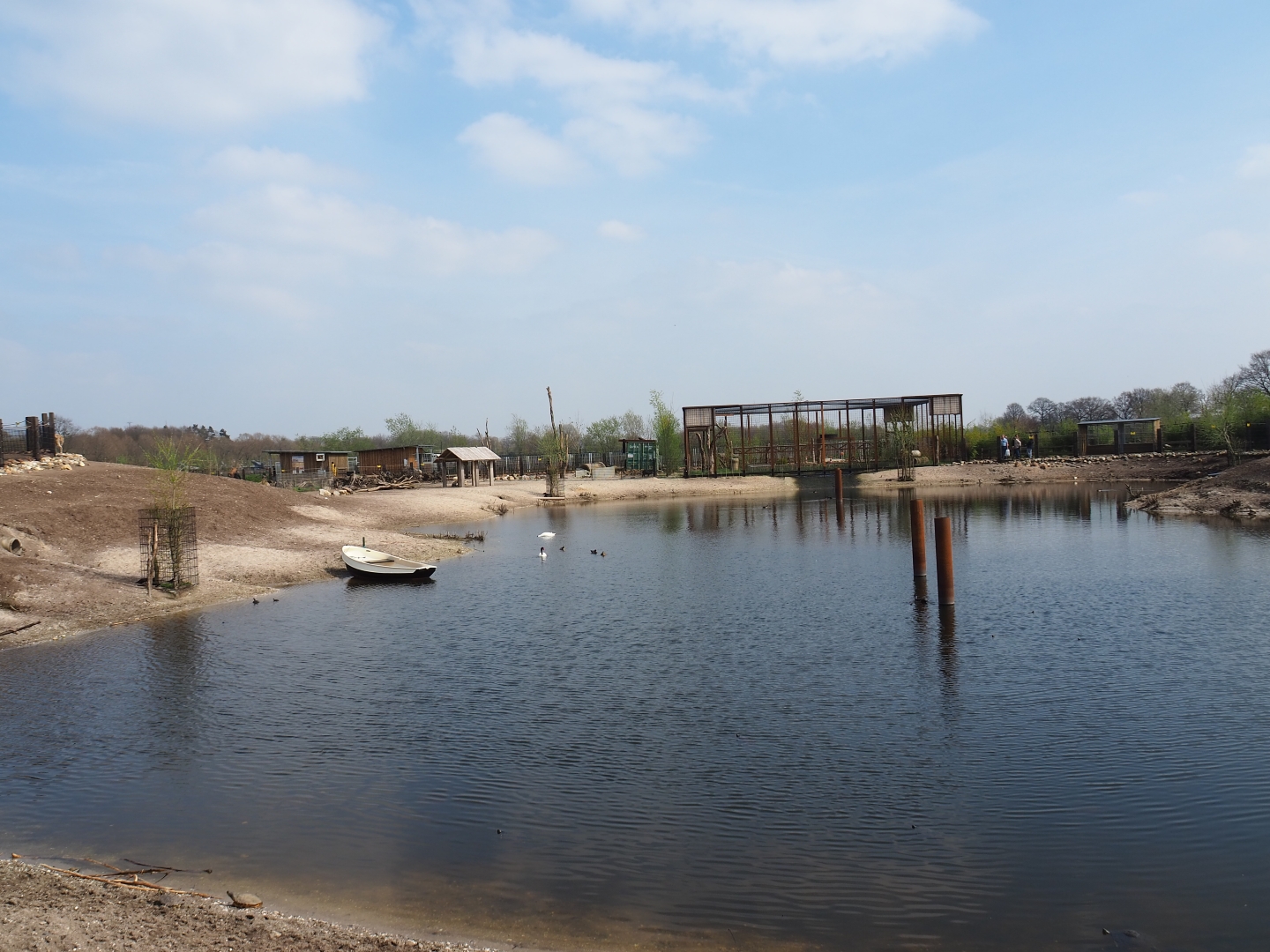 Mixed South American exhibit lake, 2019-04-06