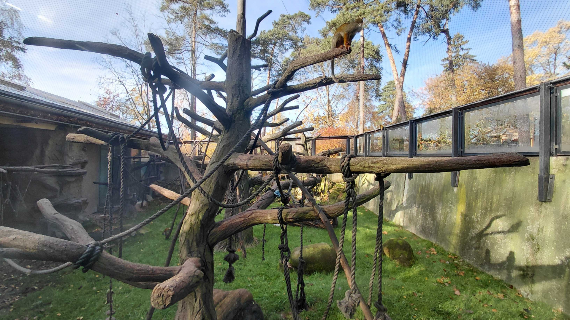 Mixed South American exhibit