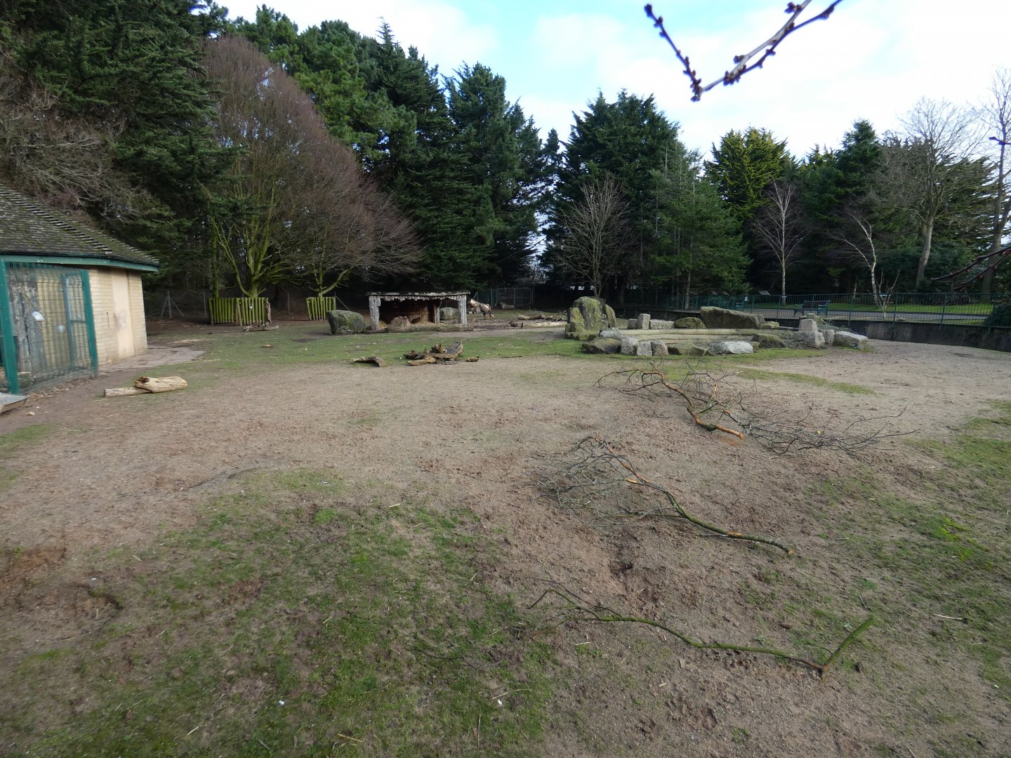 Mixed South American mammal paddock