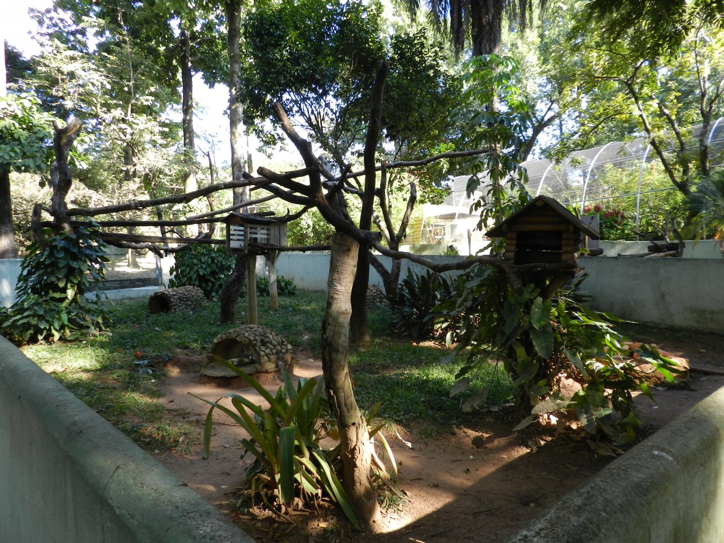 Mixed south-american mammals exhibit - Belo Horizonte zoo