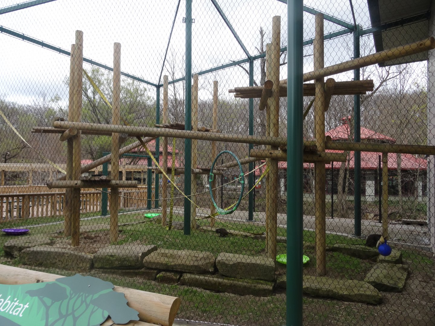 Mixed-Species African Monkey Exhibit